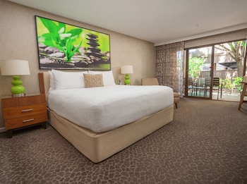Room, 1 King Bed, Accessible