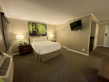 Room, 1 Double Bed, Accessible