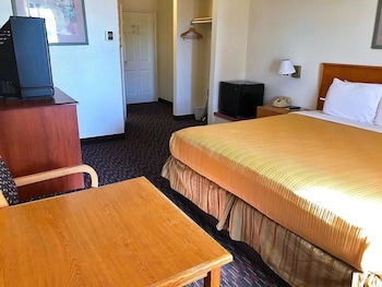 Room, 1 King Bed