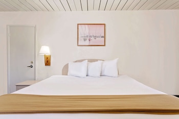 Room, 1 King Bed