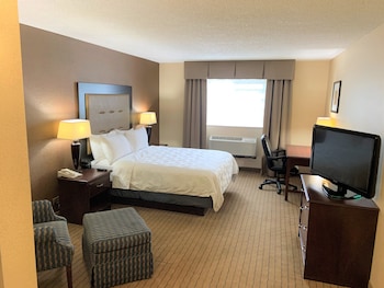 Standard Room, 1 King Bed, Accessible (Mobility, Roll-In Shower)