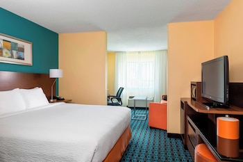 Executive Suite, 1 King Bed with Sofa bed
