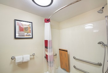Deluxe Room, 1 King Bed, Accessible (Smoke Free)