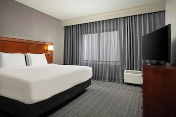 Suite, 1 King Bed with Sofa bed