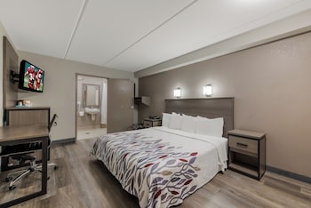 Deluxe Room, 1 King Bed, Accessible, Non Smoking (Roll-In Shower)