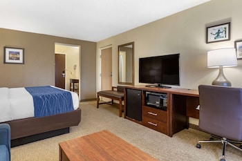 Standard Room, 1 King Bed with Sofa bed, Non Smoking
