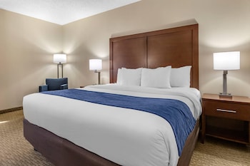 Standard Room, 1 King Bed, Non Smoking