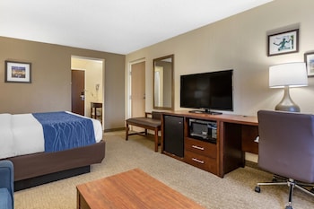 Standard Room, 1 King Bed with Sofa bed, Non Smoking