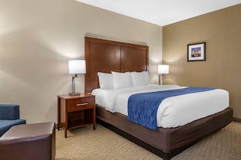 Standard Room, 1 King Bed, Non Smoking