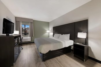 Standard Room, 1 King Bed with Sofa bed, Non Smoking