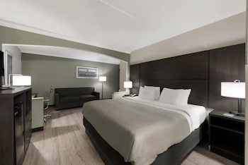 Standard Room, 1 King Bed, Non Smoking