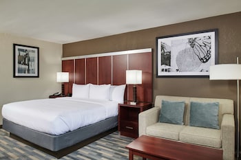 Room, 1 King Bed