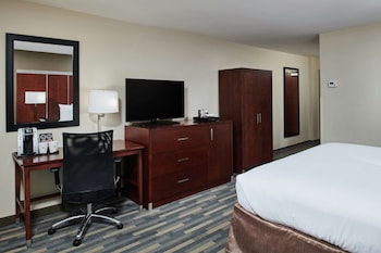 Room, 1 King Bed, Accessible (Roll-In Shower, Mobility & Hearing)