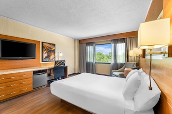 Room, 1 King Bed, Accessible, Non Smoking