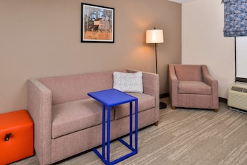 Suite, 1 King Bed with Sofa bed, Non Smoking