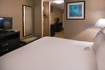 Suite, 1 King Bed