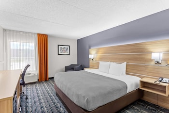 Standard Room, 1 King Bed, Non Smoking
