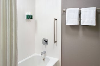Room, 1 King Bed with Sofa bed (Hearing Accessible)