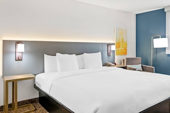 Room, 1 King Bed, Accessible, Non Smoking (Roll-In Shower)