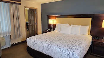 Suite, 1 King Bed, Refrigerator & Microwave, Courtyard View (with Sofabed)