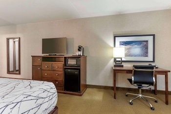 Standard Room, 1 King Bed, Refrigerator & Microwave, Courtyard View