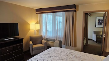 Suite, 1 King Bed, Refrigerator & Microwave, Courtyard View (with Sofabed)