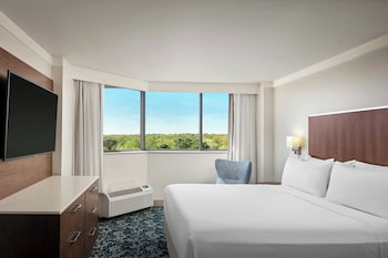 Room, 1 King Bed (Partial Lake View)