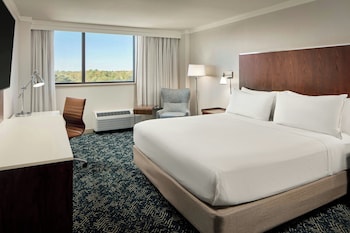 Room, 1 King Bed (Partial Lake View)