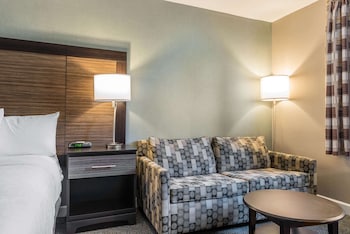 Standard Room, 1 King Bed with Sofa bed, Non Smoking (2 Person Sofa Bed)