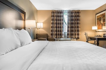 Standard Room, 1 King Bed, Non Smoking