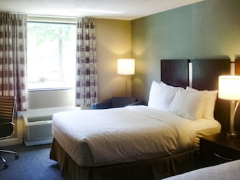 Standard Room, 1 King Bed, Non Smoking