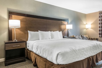 Standard Room, 1 King Bed with Sofa bed, Non Smoking (2 Person Sofa Bed)