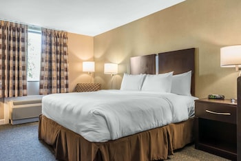 Room, 1 King Bed, Accessible, Non Smoking