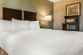 Room, 1 King Bed, Accessible, Non Smoking