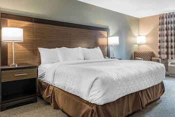 Standard Room, 1 King Bed, Non Smoking