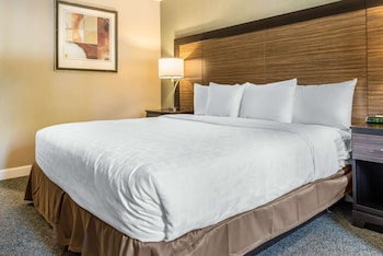 Standard Room, 1 King Bed with Sofa bed, Non Smoking (2 Person Sofa Bed)