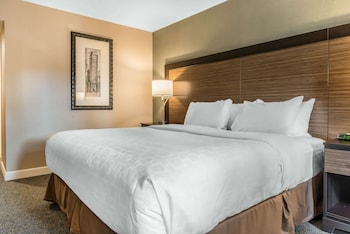 Standard Room, 1 King Bed, Non Smoking