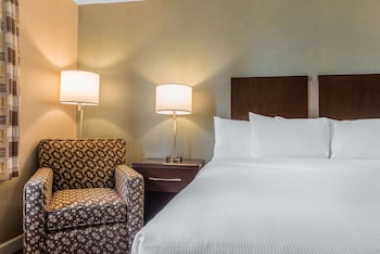Room, 1 King Bed, Accessible, Non Smoking