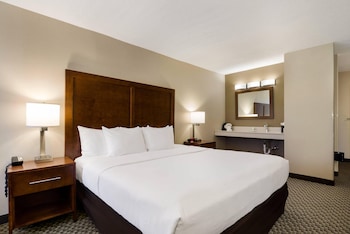 Room, 1 King Bed, Accessible, Non Smoking