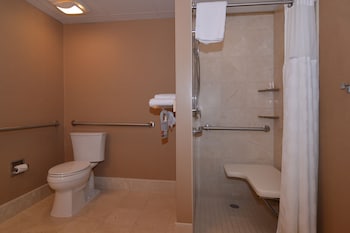 Suite, 1 King Bed, Accessible, Non Smoking (One-Bedroom)