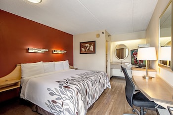 Standard Room, 1 King Bed, Smoking