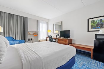 Deluxe Room, 1 Queen Bed, Roll-in Shower, Non Smoking