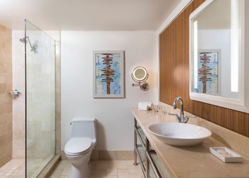 Suite, 1 King Bed with Sofa bed, Roll-in Shower (Indigo, Roll-In Shower)