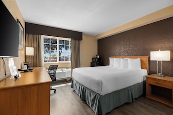 Room, 1 Queen Bed, Non Smoking