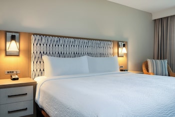 Room, 1 King Bed, Roll-in Shower