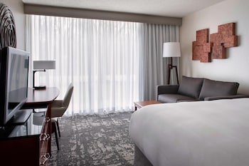Room, 1 King Bed (Mobility/Hearing Access, Roll-In Shwr)