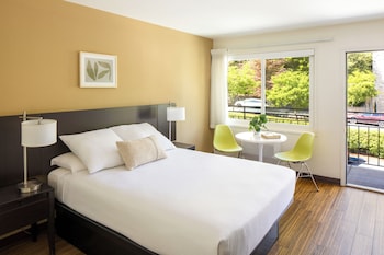 Single Room, 1 Queen Bed