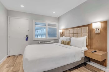 Standard Room, 1 King Bed, Non Smoking, Refrigerator & Microwave
