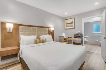 Standard Room, 1 Queen Bed, Accessible, Refrigerator & Microwave