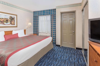 Suite, 1 King Bed with Sofa bed, Non Smoking (1 King Bed with SofaBed)